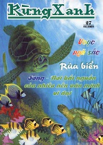 Rừng xanh số 27