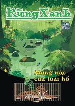 Rừng xanh số 29