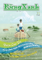 Rừng xanh số 31