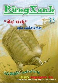 Rừng xanh số 33