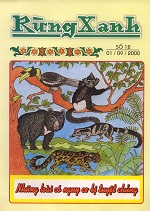 Rừng xanh số 12