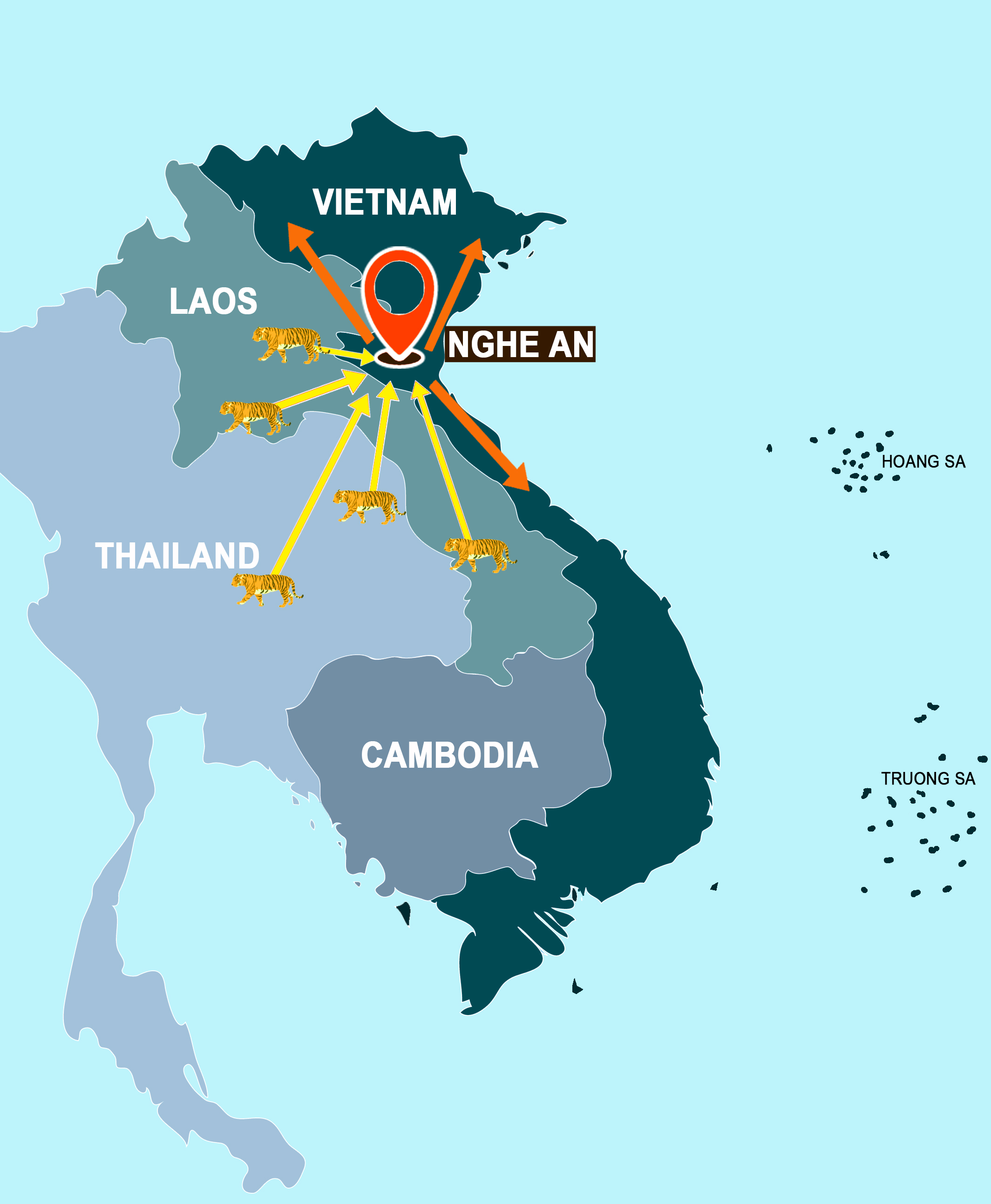 KHÔNG NÊN KHOAN NHƯỢNG VỚI CÁC ĐỐI TƯỢNG BUÔN BÁN HỔ TRÁI PHÉP TẠI NGHỆ AN
