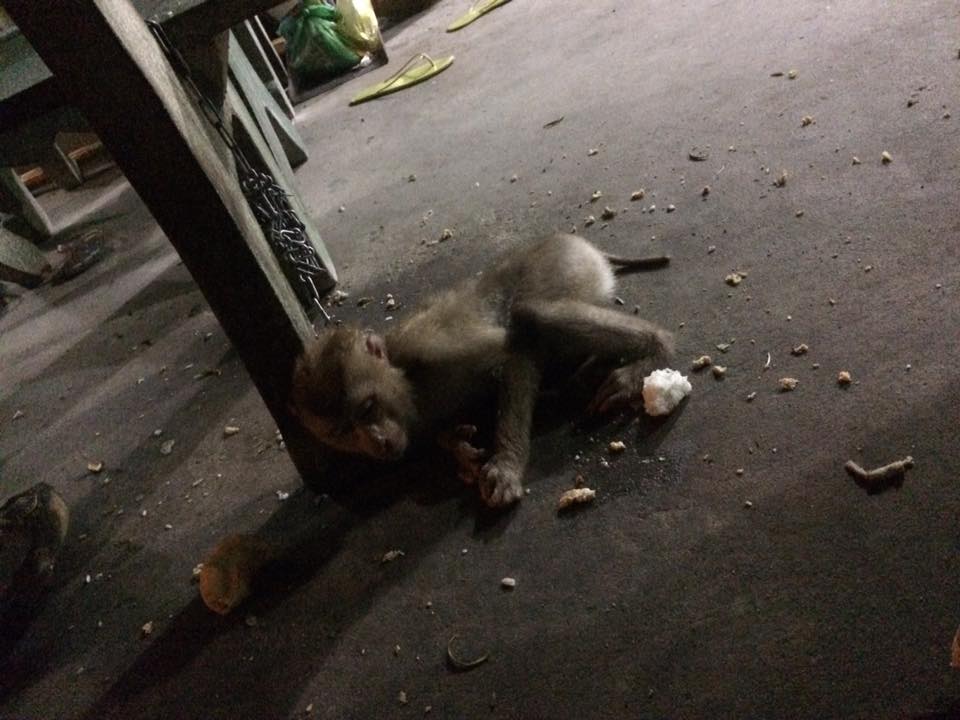Khi màn đêm buông xuống, bạn thấy gì?