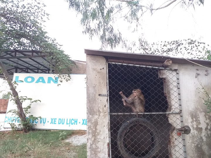 'Lốp xe ơi lốp xe, chúng ta phải chia tay nhau rồi'