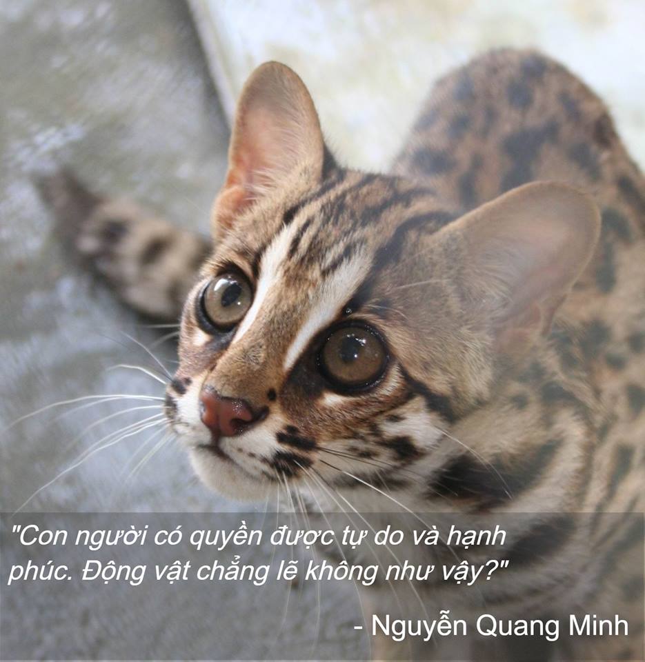 'Khác máu' đã 'tanh lòng', nói gì đến khác giống, khác loài!