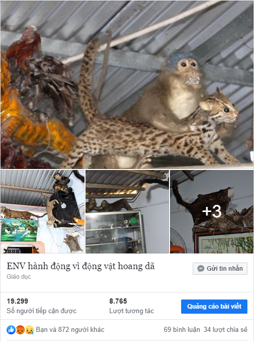 Ngôi nhà đó không bình thường!