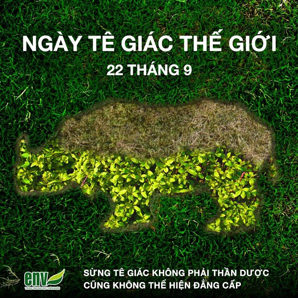 Tê giác đang nguy hiểm nhưng hy vọng vẫn chưa vụt tắt 
