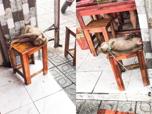 HÃY CHO TÔI GIẤC NGỦ BÌNH YÊN