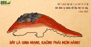 HÃY NHÌN BẰNG TRÁI TIM ❤️