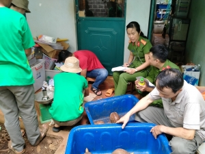 153 cá thể động vật hoang dã được tịch thu và tự nguyện chuyển giao trong tháng 5/2020