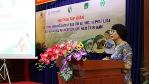 Tăng cường năng lực quản lý bảo tồn và thực thi pháp luật về bảo vệ các loài rùa nguy cấp, quý hiếm ở Việt Nam