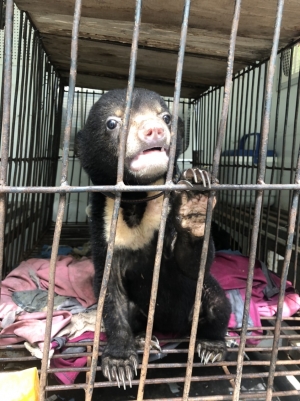 CON ĐƯỢC TỰ DO RỒI!