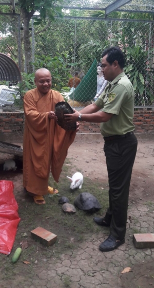 ĐỪNG phóng sinh, nuôi, nhốt động vật hoang dã tại đền, chùa