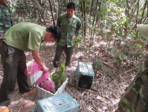 Việt Nam có những bước tiến mạnh mẽ trong bảo tồn đa dạng sinh học