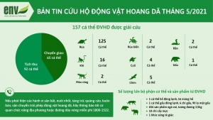 Cứu hộ gần 160 cá thể động vật hoang dã trong tháng 05/2021