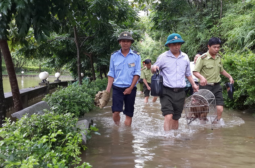 Thái Nguyên: Chuyển giao hai cá thể khỉ quý hiếm cho Trung tâm cứu hộ ĐVHD Sóc Sơn