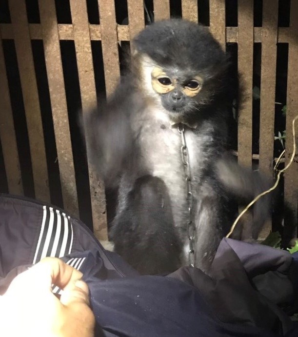 Information about wildlife violations in 2019