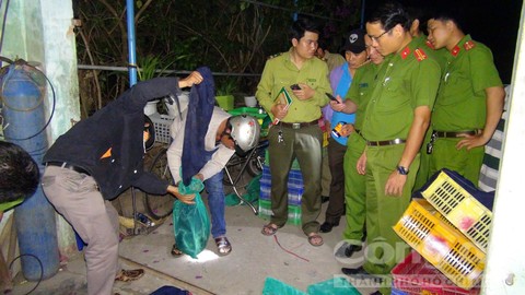 Breaking down wildlife trafficking projects