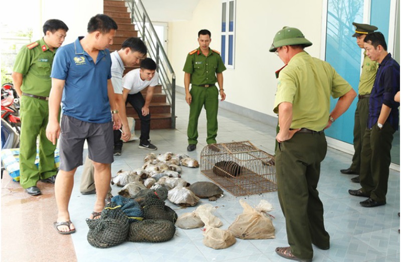 Prosecuting cases of pangolins, turtles, tortoise 