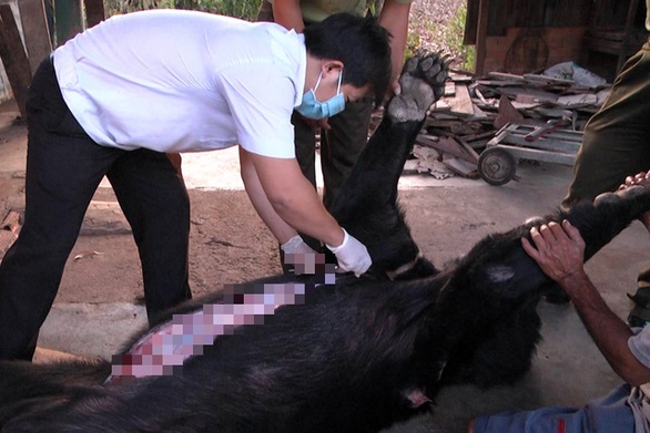 Verify the cause of 4 abnormal captive dead bears