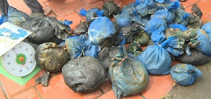 Prosecuting the case of transporting pangolins and rushing cars into the police force