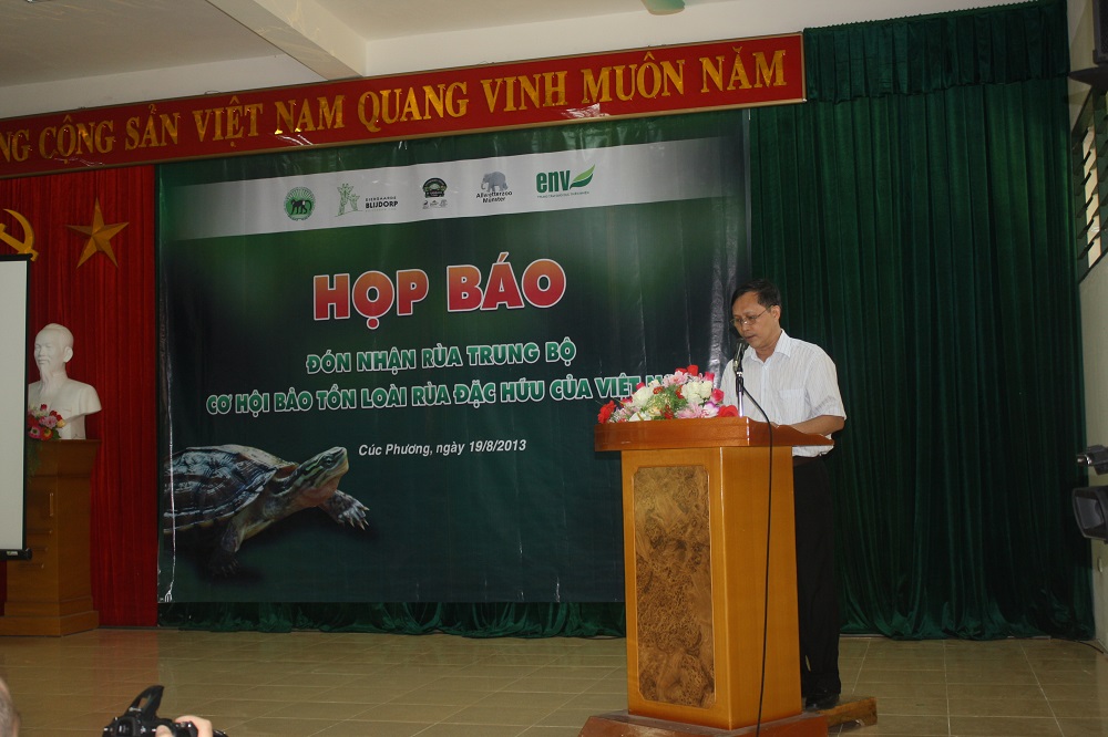  Đón nhận rùa Trung Bộ: Cơ hội bảo tồn loài rùa đặc hữu của Việt Nam