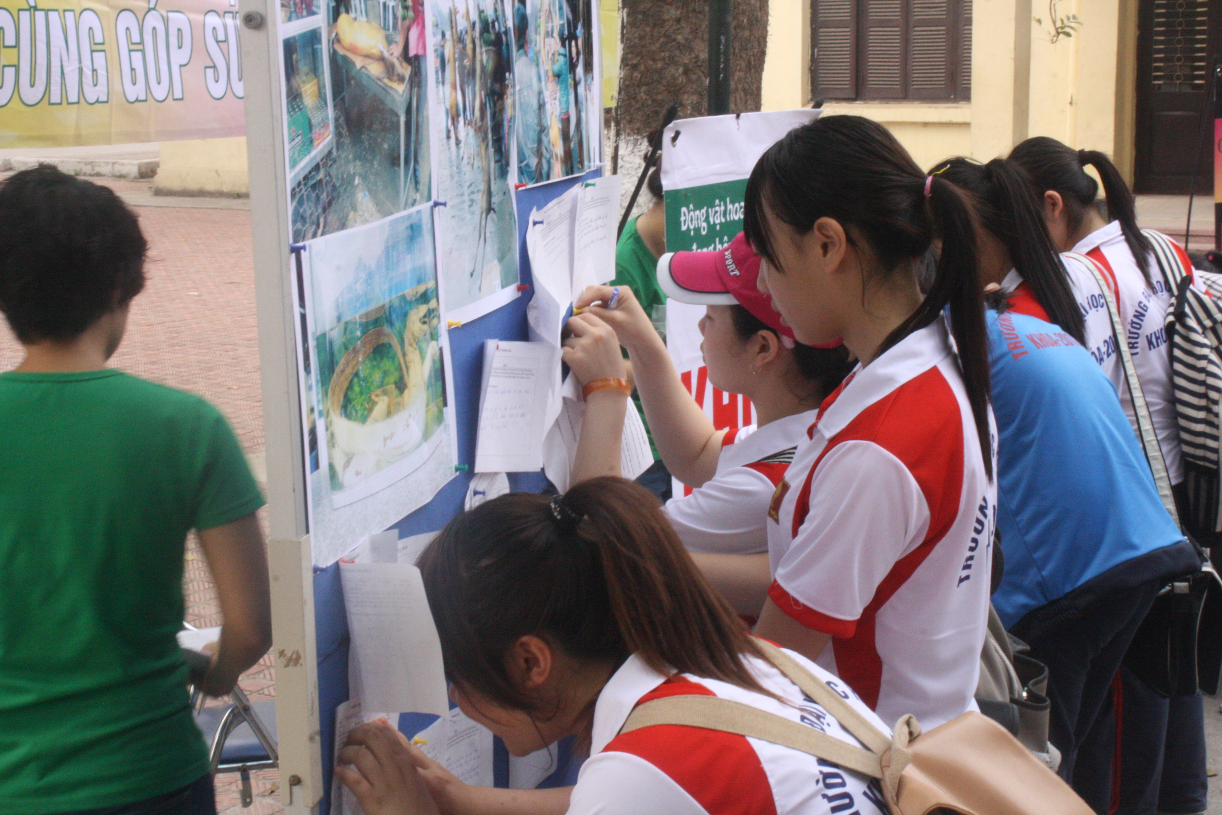  Hà Nội: Sinh viên đại học Hà Nội tham gia tìm hiểu bảo vệ ĐVHD