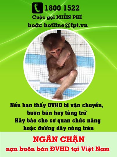 Bài học từ vụ vây bắt khỉ đem bán tại Nà Làng, Bắc Cạn