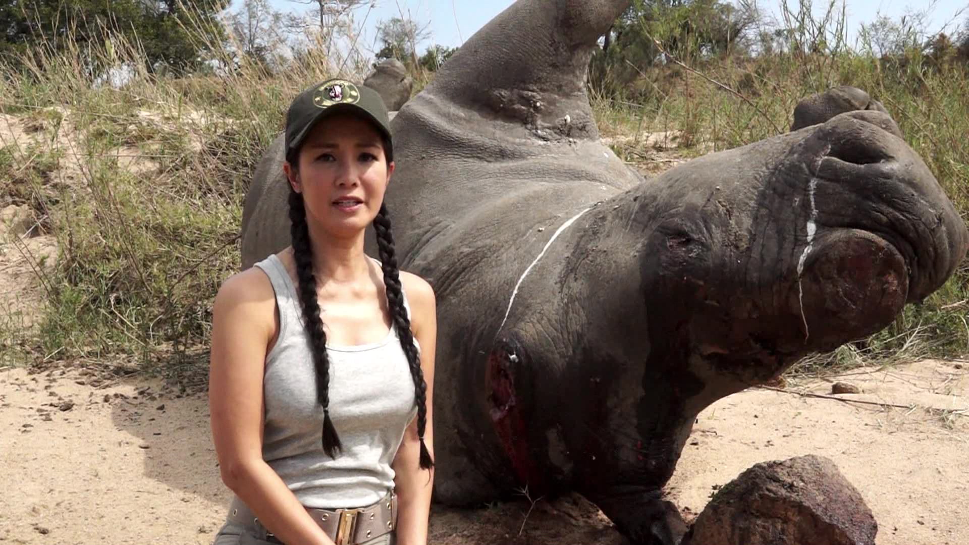  Diva Hồng Nhung kêu gọi cộng đồng không tiêu thụ sừng tê giác góp phần chấm dứt nạn thảm sát tê giác tại Nam Phi