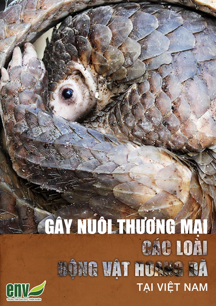  Kết quả điều tra “Gây nuôi thương mại các loài ĐVHD tại Việt Nam” của ENV