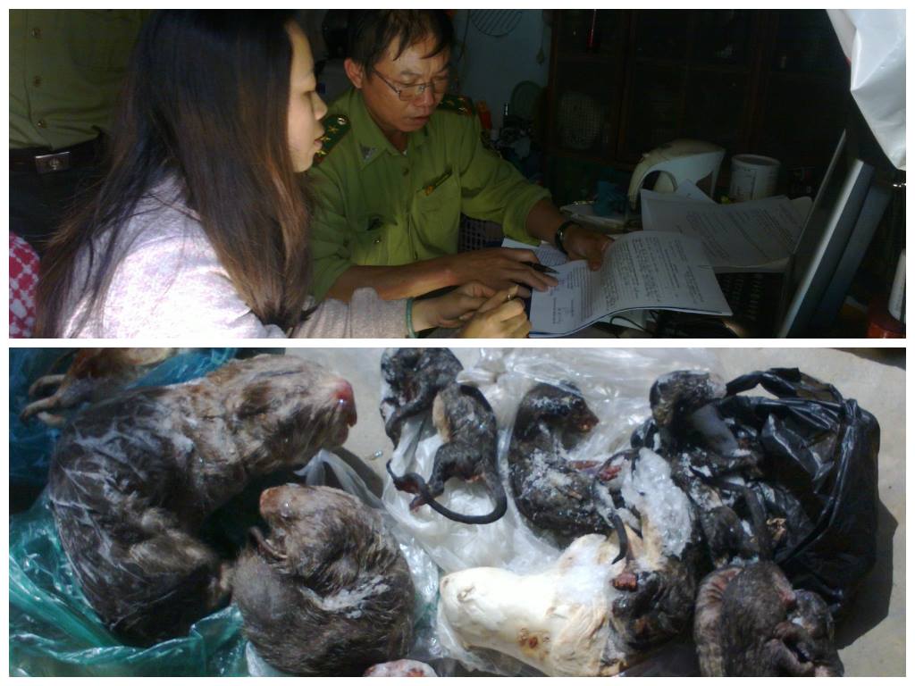  Chi cục Kiểm lâm tỉnh Lâm Đồng ra quân truy quét các vi phạm về ĐVHD