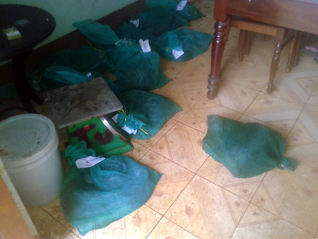  Gia Lai: Thu giữ gần 100 kg ĐVHD