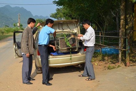  Người dân giao nộp một cá thể động vật quý hiếm