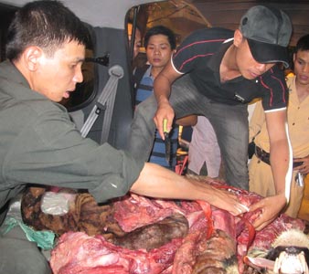  Làm rõ vụ vận chuyển một xác hổ từ Thanh Hóa về Hà Nội