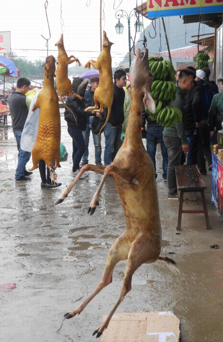  Hà Nội mạnh tay với treo bán động vật nơi đất Phật