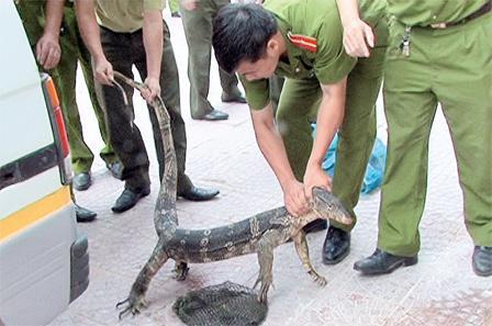  Truy tận gốc, cắt cả ngọn