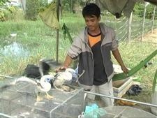  Ngang nhiên bày bán động vật hoang dã