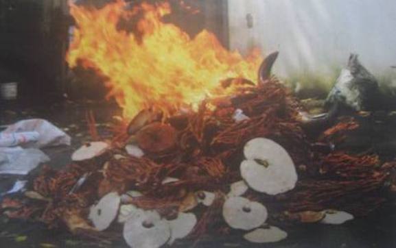  Tiêu hủy “sừng tê giác”, phát hiện… giấy lộn và giẻ rách