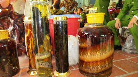  Đột kích kho rượu khủng ngâm rắn hổ mang chúa và cây thuốc phiện