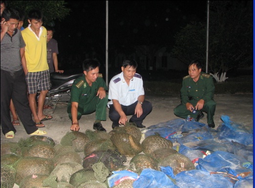  Hải quan Cầu Treo bắt giữ 400 kg động vật hoang dã