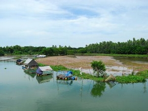  Bảo vệ các loài cá quý hiếm tại búng Bình Thiên