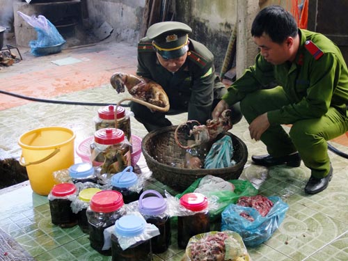  Bắt hơn nửa tấn động vật hoang dã quý hiếm