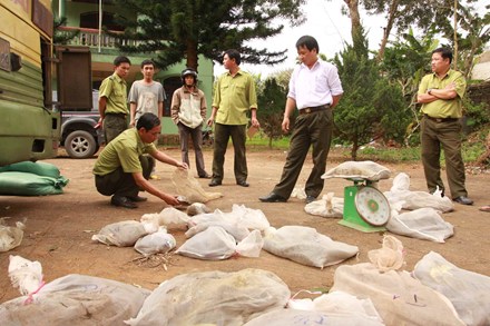  Quảng Trị: Phát hiện 75 kg động vật hoang dã trong xe khách