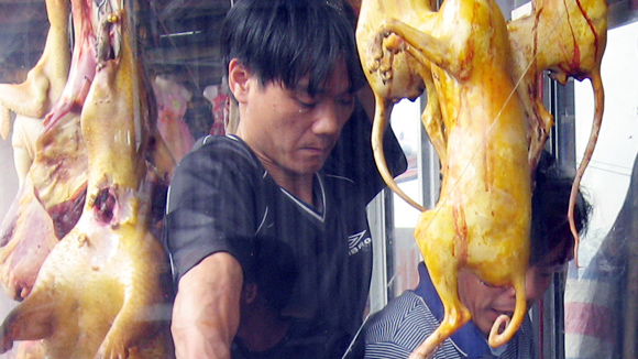  Liên ngành quyết “dẹp”, Ban tổ chức “xin” tha