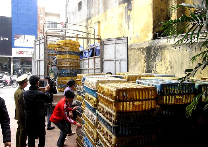  Ngụy trang 60,5kg rắn hổ mang bằng… cá