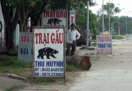  Vì sao người dân muốn bán gấu cho nhà nước?