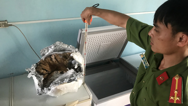  Phát hiện trong bể rượu ngâm một xác cọp con