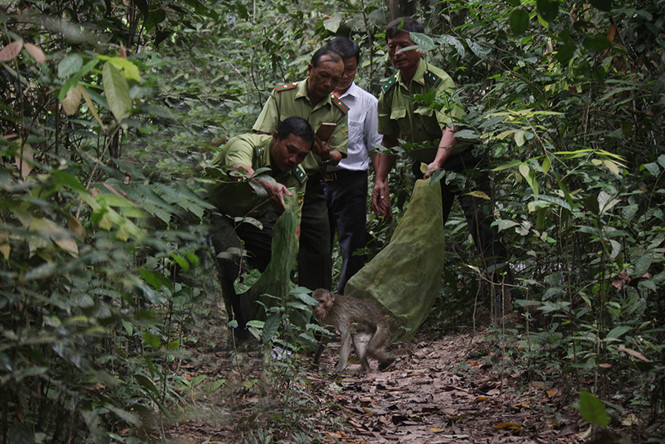 bac-giang-cuu-h-dvhd-1