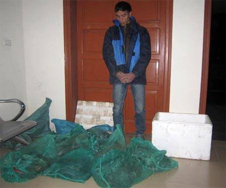  Bắt giữ đối tượng vận chuyển 23 cá thể rắn hổ mang chúa 