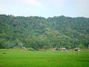  Chia sẻ kinh nghiệm đồng quản lý rừng đặc dụng